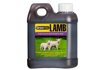 Growvite Lamb 1L