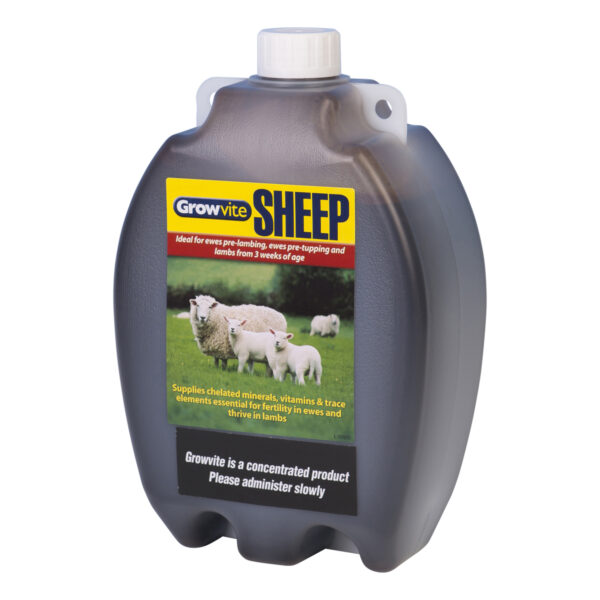 Growvite Sheep 2.5L